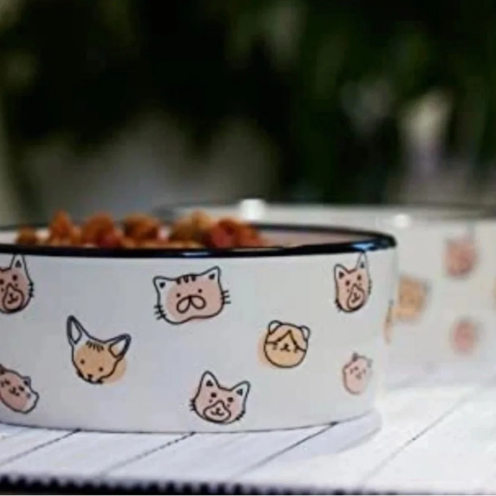 Cat Faces Pet Bowl Cat Water and Food Dish Pet Owner Cat Accessory Ceramic New